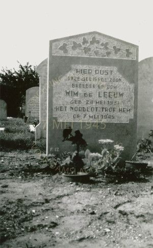 graf-willem